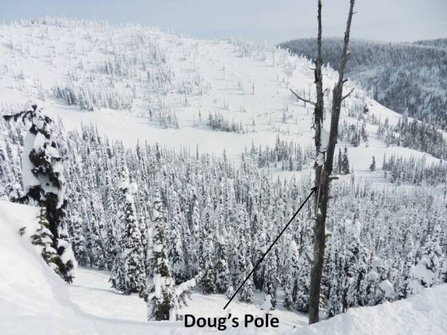 Doug's Pole